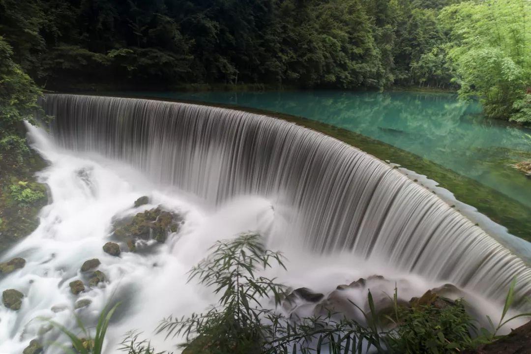 破碎的动物图形2